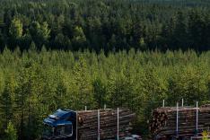 GSatTrack manages information to provide cost efficiency, savings, safety, & compliance GSatTrack manages information to provide cost efficiency, savings, safety, & compliance