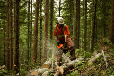 Logger